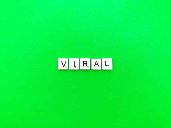 Comment utiliser le marketing viral pour faire connaître son entreprise